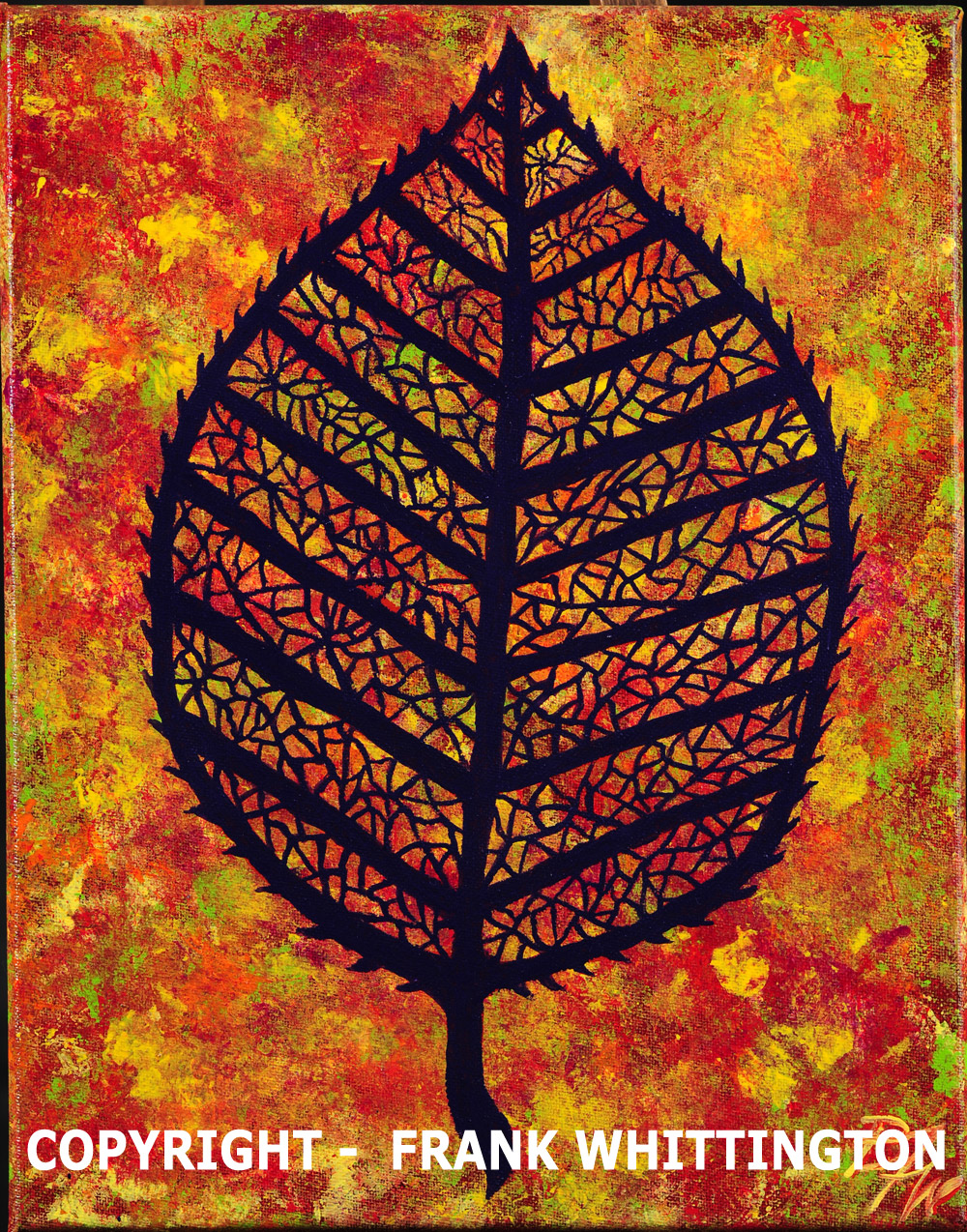 Fall Elm Leaf